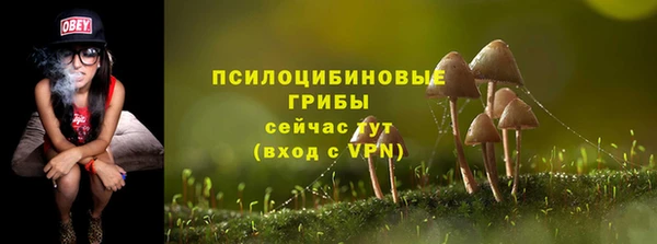 гашишное масло Краснослободск