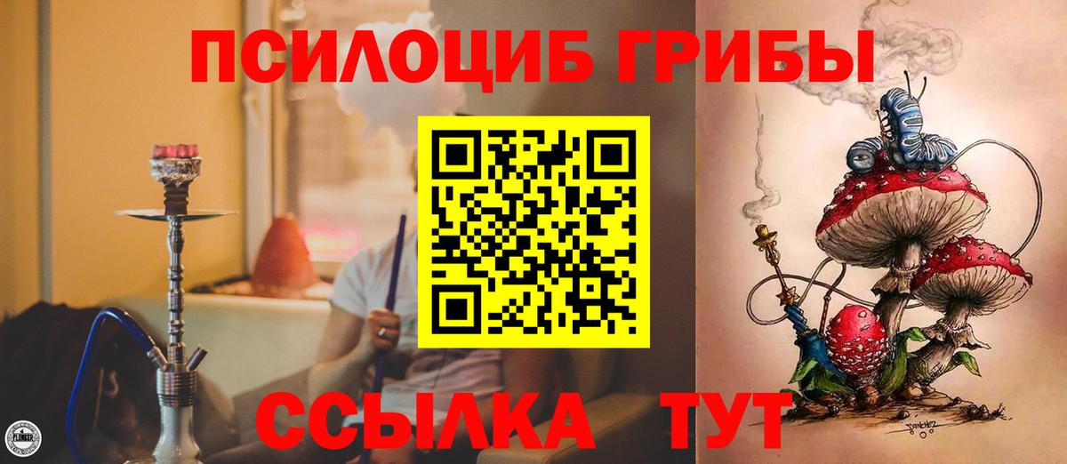 Псилоцибиновые грибы Psilocybe Октябрьский